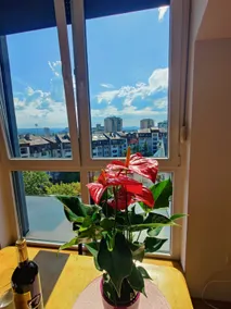 Dalija Apartment - Image 4