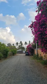 Casa Los Rosales in Surf City - Image 5
