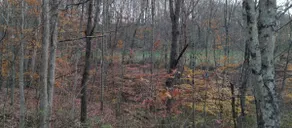 Mattie's Place - Image 4