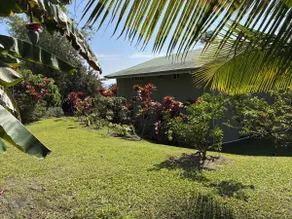 Ohana Aloha - Image 5