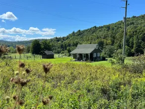 Cozy Cabin with Mini Goats & Hot tub Starlink WiFi - Image 3