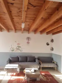 Large country house with terrace - Image 2