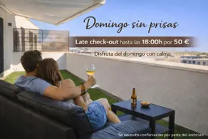 Luxury Penthouse in Burgos - Image 3