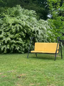 Take It Easy - la petit is located on 1/2 acre - Image 2