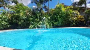 Farm 27 km from Shopping Dom Pedro in Campinas - Image 4
