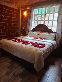 Romantic cabin with fireplace and forest Pet Friendly - Image 2