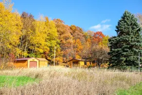 Charming cabin in the woods with private trails! - Image 3
