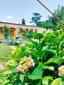 Small gem, 10 min from the ancient ramparts of Lucca - Image 5