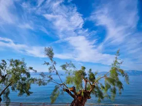 Cozy beachfront guesthouse - Image 3