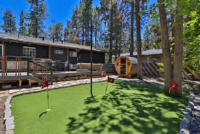 Alpine Oasis: Sauna, Golf, Jacuzzi, GameRoom, A/C! - Image 2