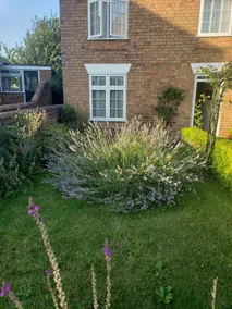Lavender Cottage, a pretty period cottage in Louth - Image 3