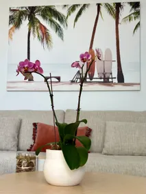 Sunny Coolum Beach Retreat - Image 3