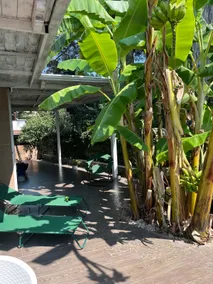 Villa Marlene Holiday home in private park - Image 2