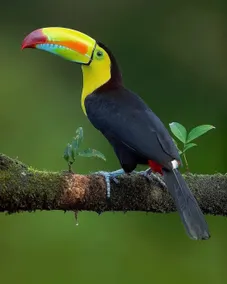 Casa Colibrí - Image 4