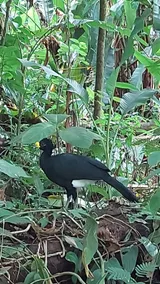 Casa Colibrí - Image 5