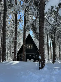Vista A-frame | Cozy modern cabin in the pines! - Image 4