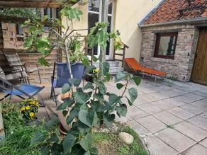 Farmhouse with soul Xantener Nordsee · Pure nature - Image 5