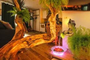 Jungle Spa: Romantic tropical escape & private spa - Image 3