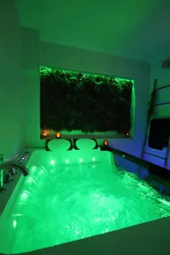 Instant relaxation in Alsace with private spa - Image 3