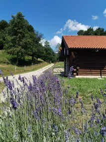 Baita Gran Monte - Image 4