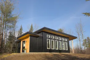 Forest Cabin with Wall of Windows - Image 2
