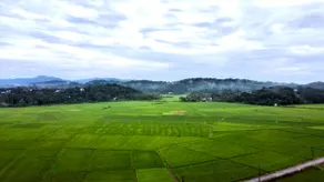 Entire Villa in wayanad - Plantation Stay - Image 4