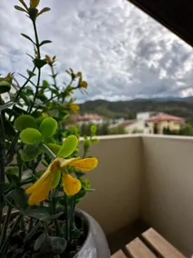 View - Image 2