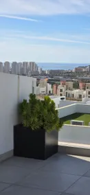 A beautiful and bright apartment in Benidorm - Image 4