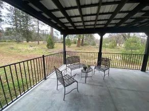 Edge of the Woods in Shasta Valley - Image 5