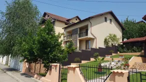 Vila Vati - Arena Pitesti - Image 5