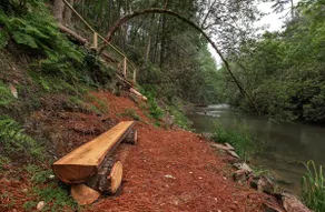Ellijay Riverfront A-Frame | Sauna & Private Trail - Image 4