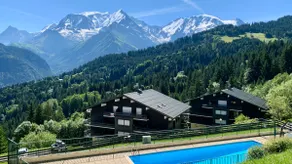 Studio cabine Au Loup Blanc avec vue Mont Blanc - Image 2