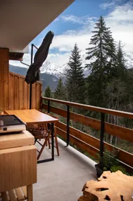 Studio cabine Au Loup Blanc avec vue Mont Blanc - Image 5