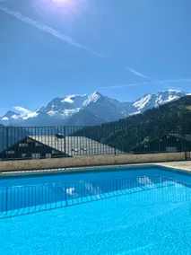 Studio cabine Au Loup Blanc avec vue Mont Blanc - Image 4