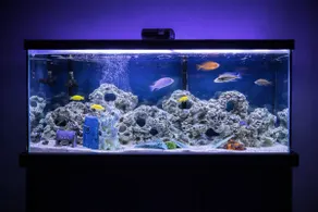 Stony Brook Sanctuary: Romantic Couples Escape - Image 5