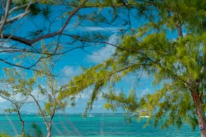 Belle Mare Beachfront 3 Bedroom Apartment - Image 4