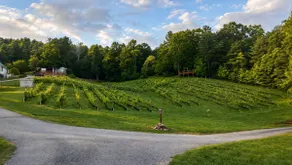 Walk to Winery -Hot Tub-Cabin Retreat - Image 2