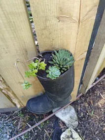 Gumboot Paradise Eco Stay - Image 4