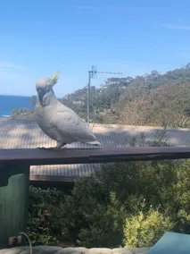 HWYE - Garden Flat in Wye River - Image 5