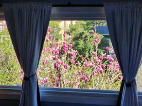 Northern Charm 15 min to NYC (Private Apartment) - Image 3