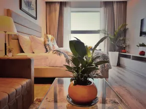Mysa by Merakii—Your living loving studio home! - Image 5
