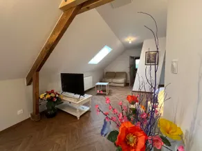 Le studio de Mamy Jacquotte Centre Cour-Cheverny - Image 2