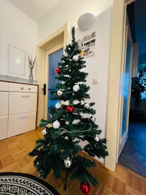 Cozy 3-room apartment in Nuremberg - Image 5