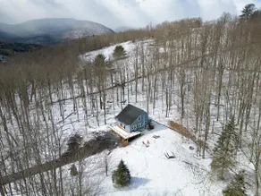 The Pinefall- Designer 5 Acre Cabin-Hunter/Windham - Image 2