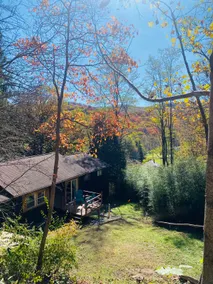 Cabin Beneath the Pines - Image 5