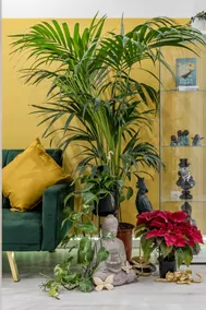 New loft - Promotional price - Manipura - Image 2