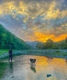Corbett Rivervalley Homestay - Image 3