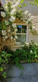 Orchard Cottage - Dingle - Image 4
