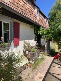 Alsatian country house, nature and relaxation - Image 2
