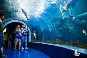 Apartment - Beach/Aquarium/Veracruz Center - Image 5